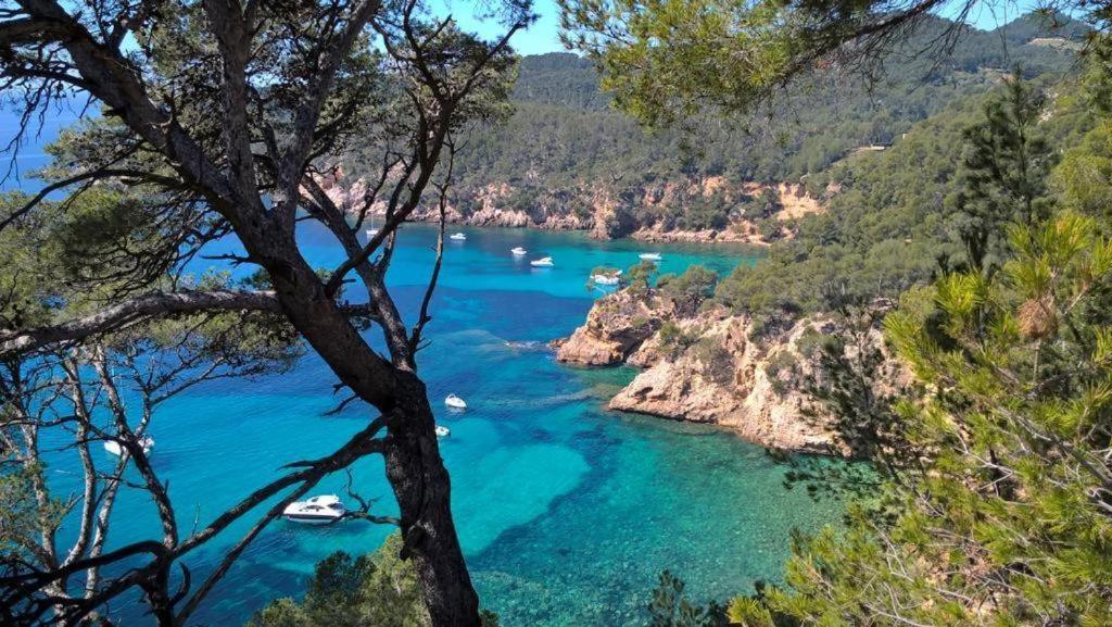 Studio Bandol Centre 2 Etoiles Ideal Emplacement Bagian luar foto